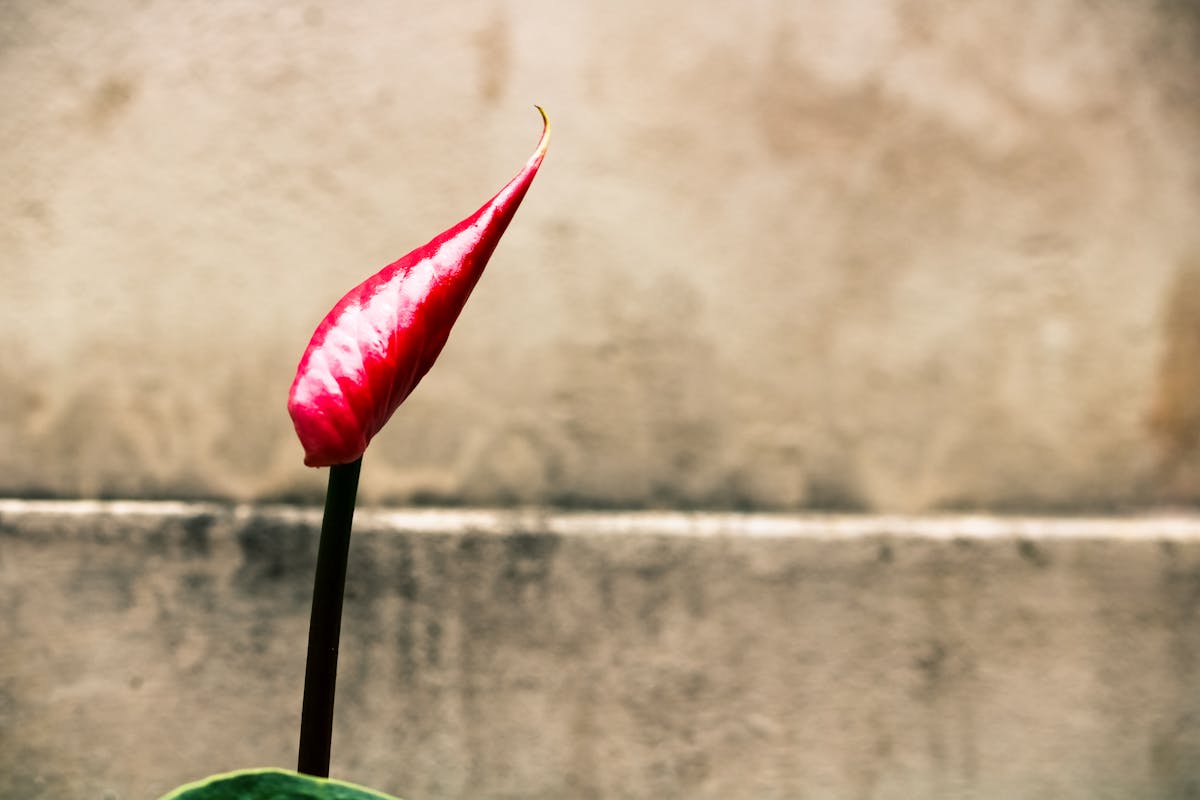 Churches & Monasteries of Corfu - A Spiritual Tour